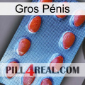 Gros Pénis 06